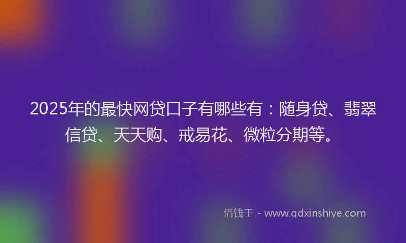 2025年的最快网贷口子有哪些有：随身贷、翡翠信贷、天天购、戒易花、微粒分期等。