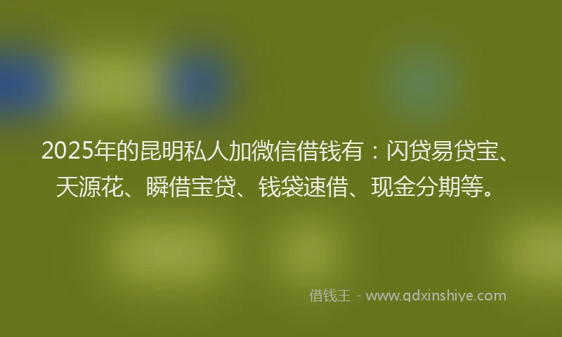 2025年的昆明私人加微信借钱有：闪贷易贷宝、天源花、瞬借宝贷、钱袋速借、现金分期等。
