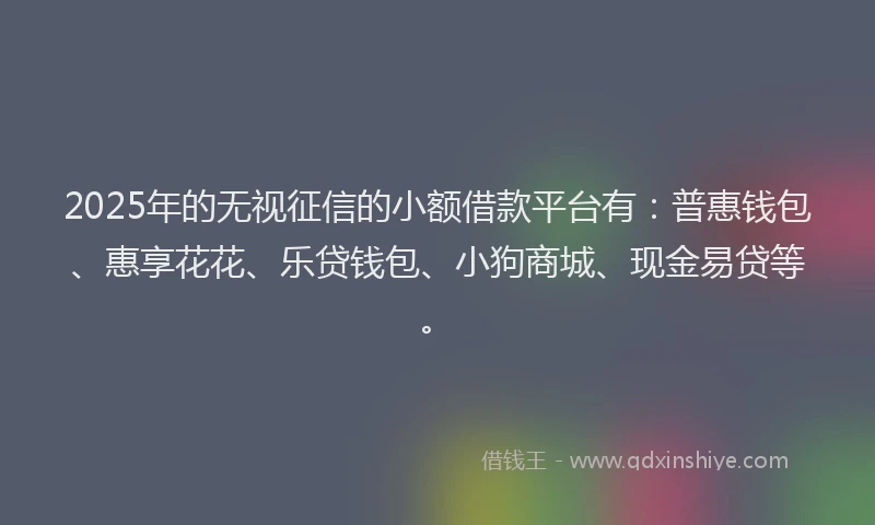 2025年的无视征信的小额借款平台有：普惠钱包、惠享花花、乐贷钱包、小狗商城、现金易贷等。