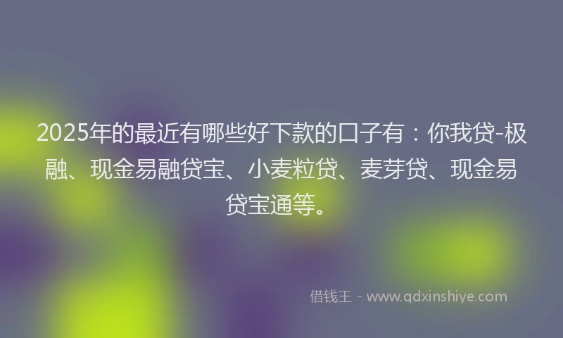 2025年的最近有哪些好下款的口子有：你我贷-极融、现金易融贷宝、小麦粒贷、麦芽贷、现金易贷宝通等。
