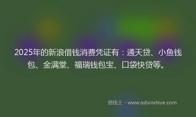 2025年的新浪借钱消费凭证有：通天贷、小鱼钱包、金满堂、福瑞钱包宝、口袋快贷等。