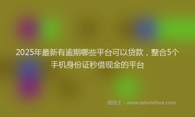 2025年最新有逾期哪些平台可以贷款，整合5个手机身份证秒借现金的平台