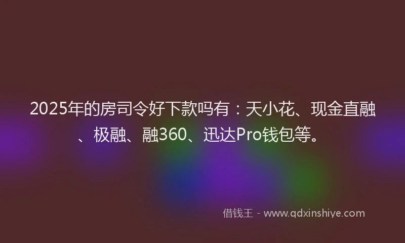 2025年的房司令好下款吗有：天小花、现金直融、极融、融360、迅达Pro钱包等。