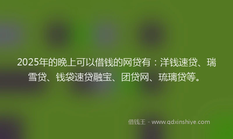 2025年的晚上可以借钱的网贷有：洋钱速贷、瑞雪贷、钱袋速贷融宝、团贷网、琉璃贷等。