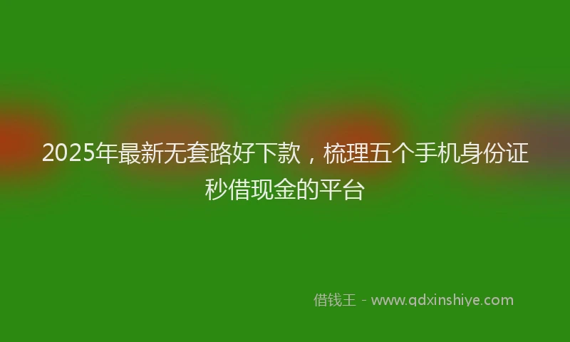 2025年最新无套路好下款，梳理五个手机身份证秒借现金的平台