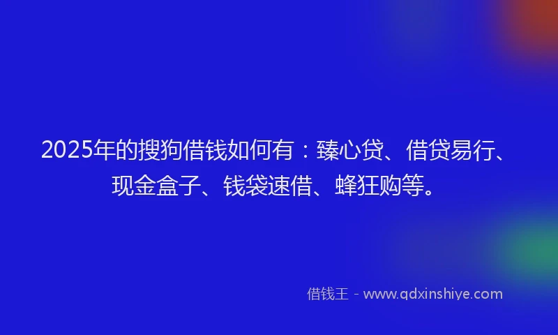 2025年的搜狗借钱如何有：臻心贷、借贷易行、现金盒子、钱袋速借、蜂狂购等。