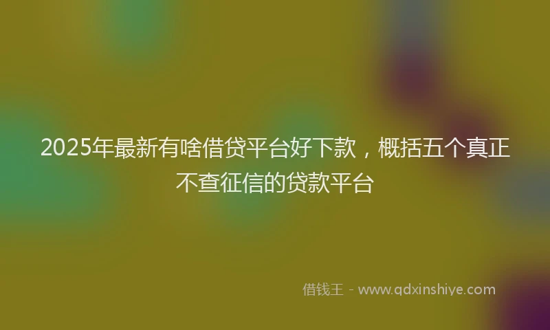 2025年最新有啥借贷平台好下款，概括五个真正不查征信的贷款平台