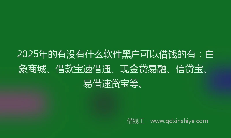 2025年的有没有什么软件黑户可以借钱的有：白象商城、借款宝速借通、现金贷易融、信贷宝、易借速贷宝等。