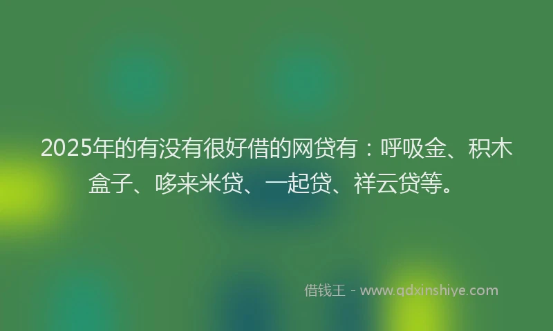 2025年的有没有很好借的网贷有：呼吸金、积木盒子、哆来米贷、一起贷、祥云贷等。