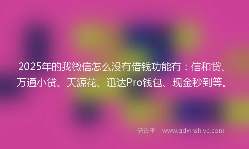 2025年的我微信怎么没有借钱功能有：信和贷、万通小贷、天源花、迅达Pro钱包、现金秒到等。
