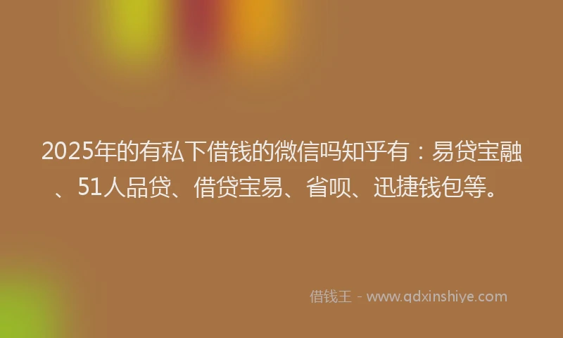 2025年的有私下借钱的微信吗知乎有：易贷宝融、51人品贷、借贷宝易、省呗、迅捷钱包等。