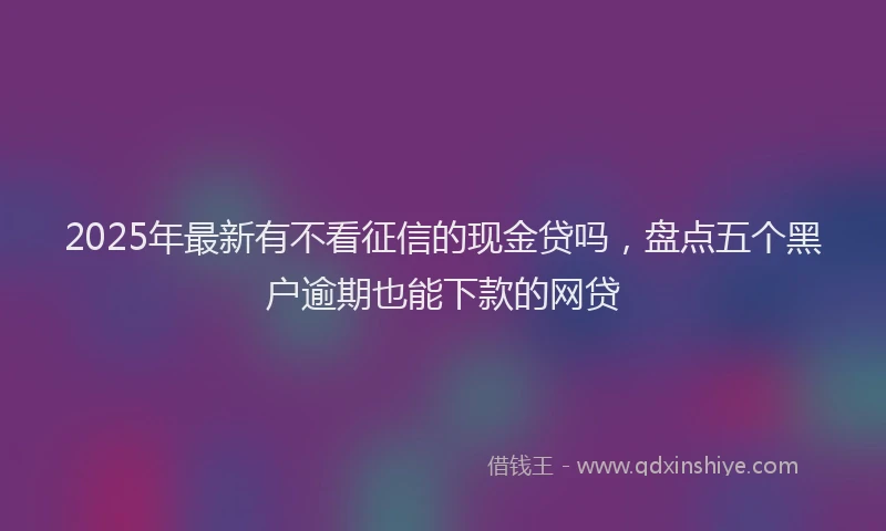 2025年最新有不看征信的现金贷吗，盘点五个黑户逾期也能下款的网贷