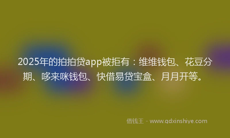 2025年的拍拍贷app被拒有：维维钱包、花豆分期、哆来咪钱包、快借易贷宝盒、月月开等。