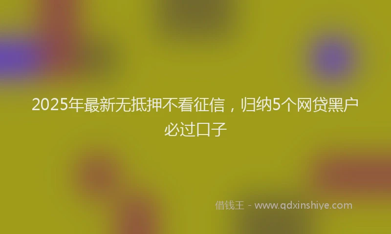 2025年最新无抵押不看征信，归纳5个网贷黑户必过口子