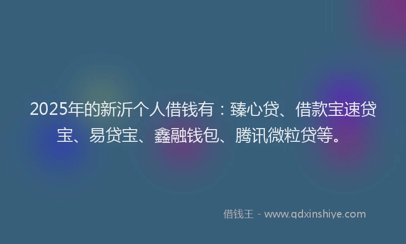 2025年的新沂个人借钱有：臻心贷、借款宝速贷宝、易贷宝、鑫融钱包、腾讯微粒贷等。