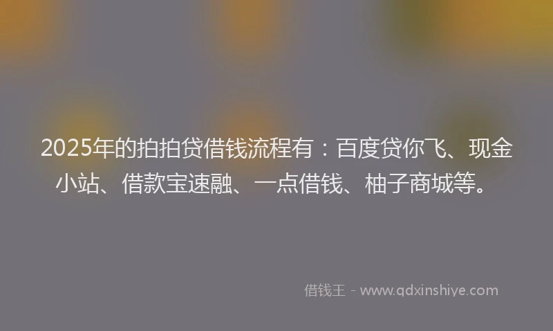 2025年的拍拍贷借钱流程有：百度贷你飞、现金小站、借款宝速融、一点借钱、柚子商城等。