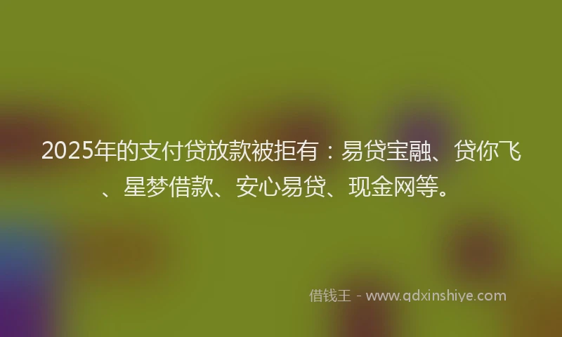 2025年的支付贷放款被拒有：易贷宝融、贷你飞、星梦借款、安心易贷、现金网等。