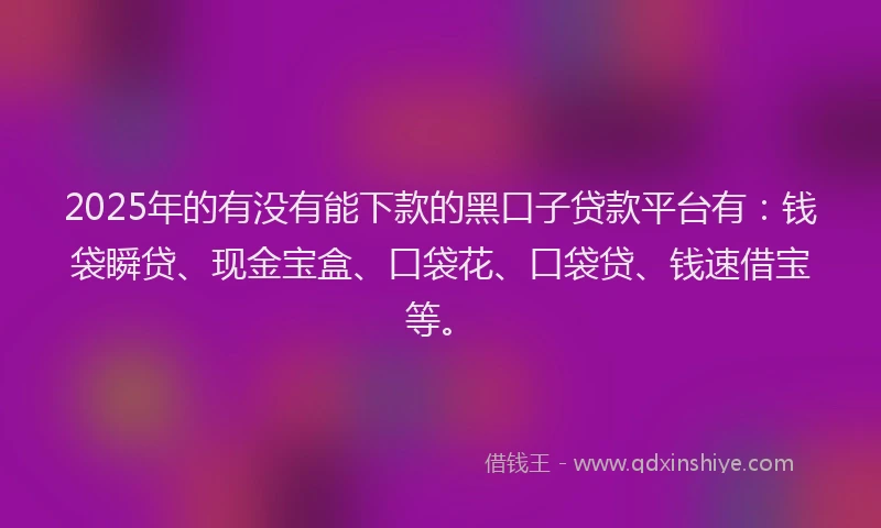 2025年的有没有能下款的黑口子贷款平台有：钱袋瞬贷、现金宝盒、口袋花、口袋贷、钱速借宝等。