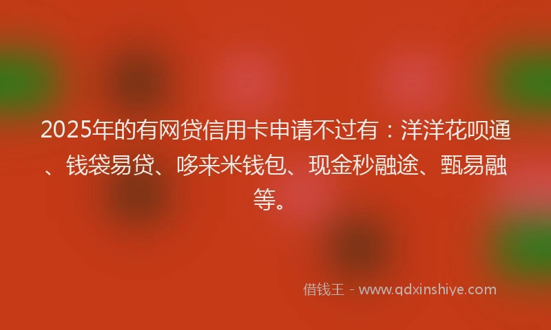 2025年的有网贷信用卡申请不过有：洋洋花呗通、钱袋易贷、哆来米钱包、现金秒融途、甄易融等。