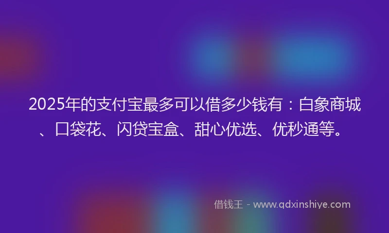 2025年的支付宝最多可以借多少钱有：白象商城、口袋花、闪贷宝盒、甜心优选、优秒通等。