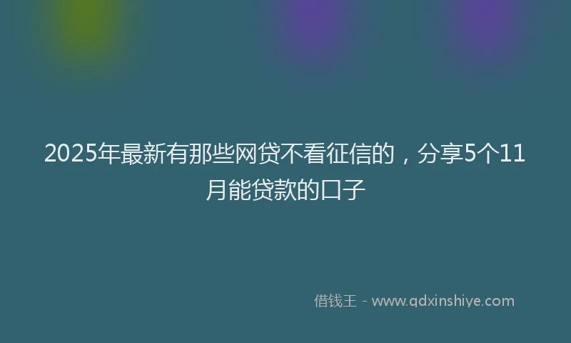 2025年最新有那些网贷不看征信的，分享5个11月能贷款的口子