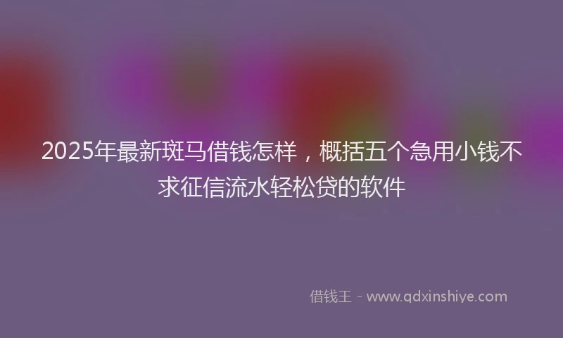 2025年最新斑马借钱怎样，概括五个急用小钱不求征信流水轻松贷的软件