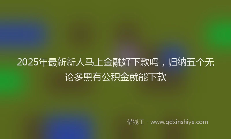 2025年最新新人马上金融好下款吗，归纳五个无论多黑有公积金就能下款