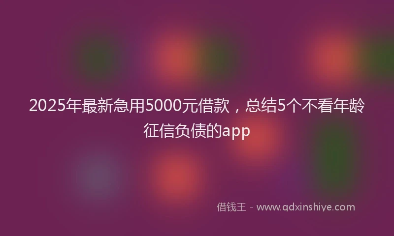 2025年最新急用5000元借款，总结5个不看年龄征信负债的app