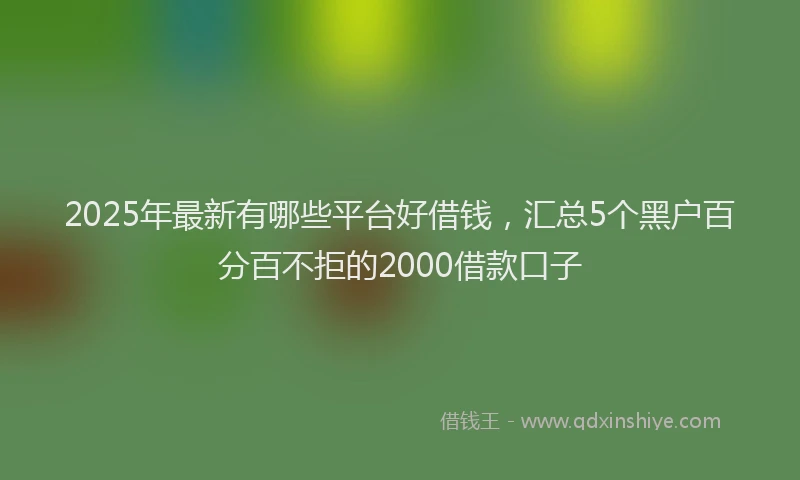 2025年最新有哪些平台好借钱，汇总5个黑户百分百不拒的2000借款口子