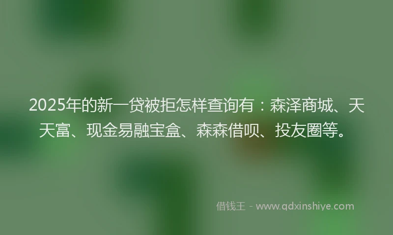 2025年的新一贷被拒怎样查询有：森泽商城、天天富、现金易融宝盒、森森借呗、投友圈等。