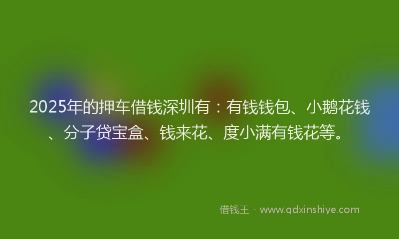 2025年的押车借钱深圳有：有钱钱包、小鹅花钱、分子贷宝盒、钱来花、度小满有钱花等。