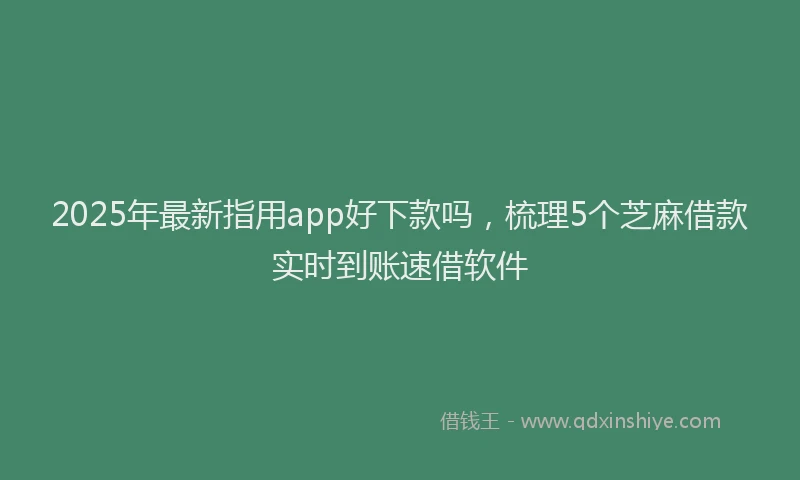 2025年最新指用app好下款吗，梳理5个芝麻借款实时到账速借软件