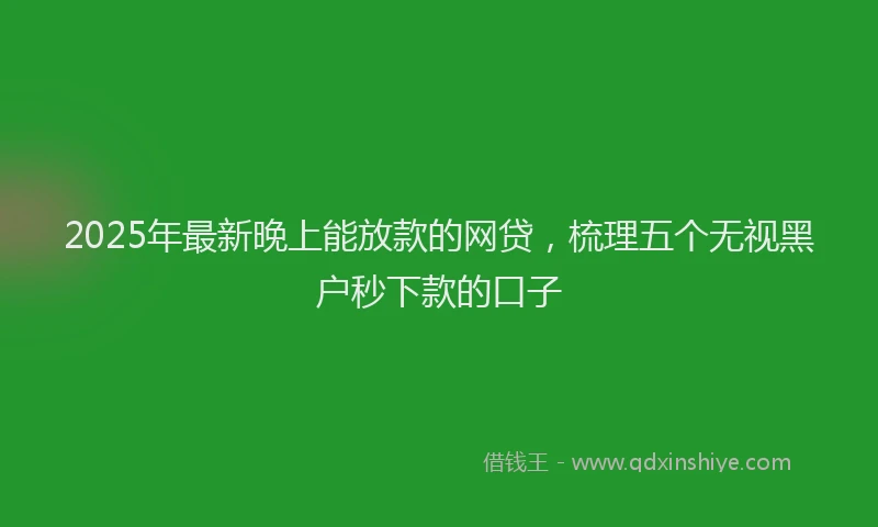 2025年最新晚上能放款的网贷，梳理五个无视黑户秒下款的口子