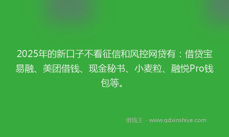 2025年的新口子不看征信和风控网贷有：借贷宝易融、美团借钱、现金秘书、小麦粒、融悦Pro钱包等。