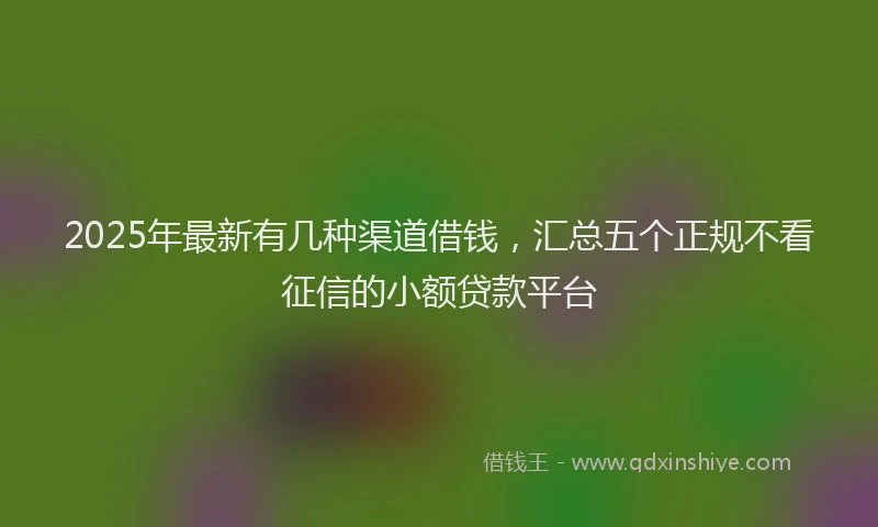 2025年最新有几种渠道借钱，汇总五个正规不看征信的小额贷款平台