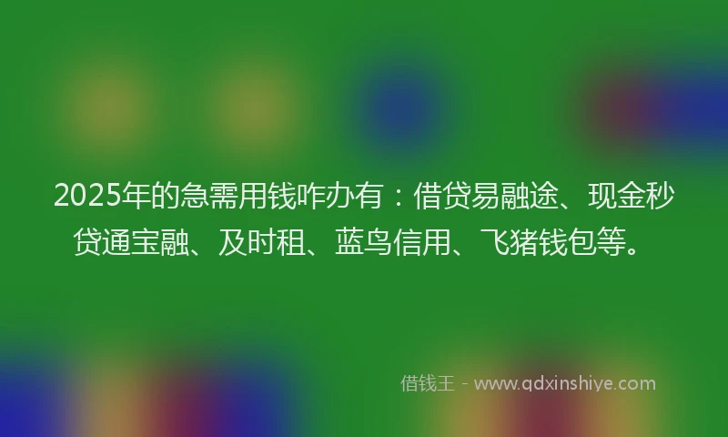 2025年的急需用钱咋办有：借贷易融途、现金秒贷通宝融、及时租、蓝鸟信用、飞猪钱包等。