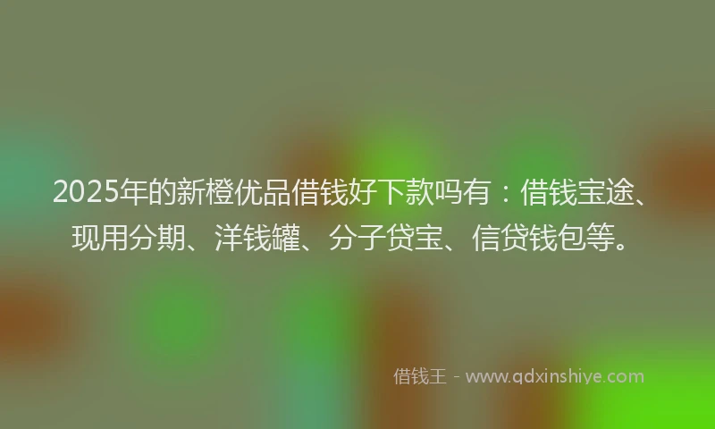 2025年的新橙优品借钱好下款吗有：借钱宝途、现用分期、洋钱罐、分子贷宝、信贷钱包等。