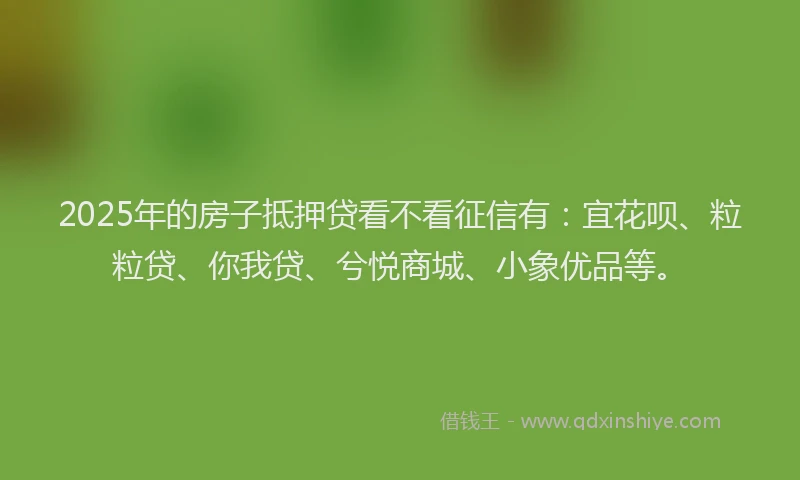 2025年的房子抵押贷看不看征信有：宜花呗、粒粒贷、你我贷、兮悦商城、小象优品等。