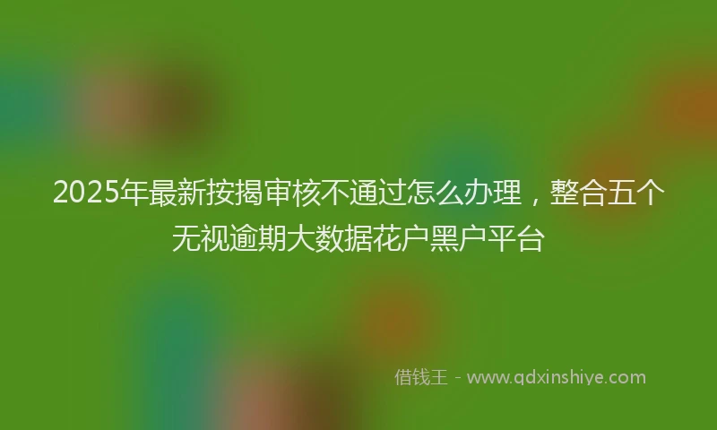 2025年最新按揭审核不通过怎么办理，整合五个无视逾期大数据花户黑户平台