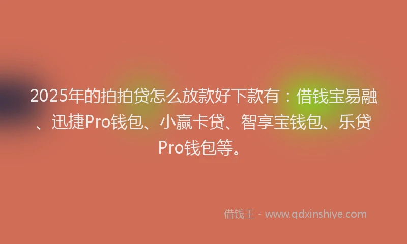 2025年的拍拍贷怎么放款好下款有：借钱宝易融、迅捷Pro钱包、小赢卡贷、智享宝钱包、乐贷Pro钱包等。