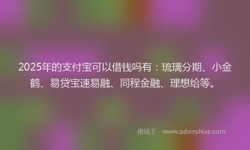 2025年的支付宝可以借钱吗有：琉璃分期、小金鹤、易贷宝速易融、同程金融、理想给等。
