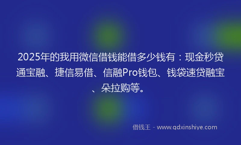 2025年的我用微信借钱能借多少钱有：现金秒贷通宝融、捷信易借、信融Pro钱包、钱袋速贷融宝、朵拉购等。