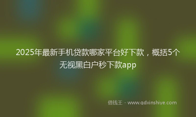 2025年最新手机贷款哪家平台好下款，概括5个无视黑白户秒下款app