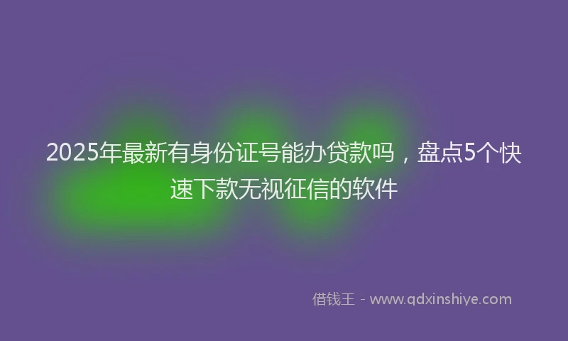 2025年最新有身份证号能办贷款吗，盘点5个快速下款无视征信的软件