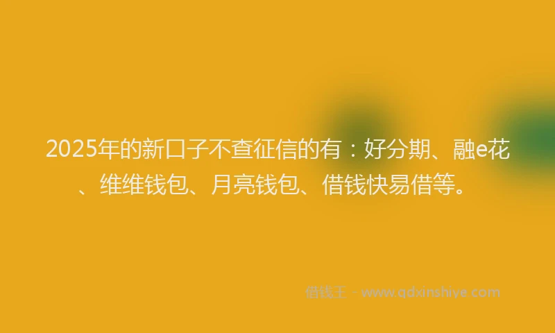 2025年的新口子不查征信的有：好分期、融e花、维维钱包、月亮钱包、借钱快易借等。
