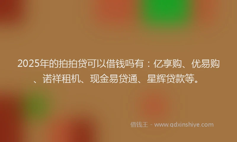 2025年的拍拍贷可以借钱吗有：亿享购、优易购、诺祥租机、现金易贷通、星辉贷款等。