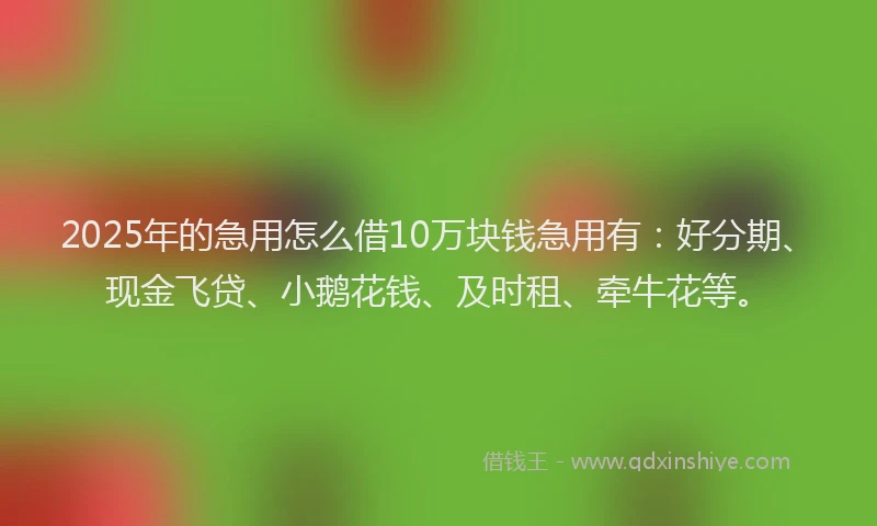 2025年的急用怎么借10万块钱急用有：好分期、现金飞贷、小鹅花钱、及时租、牵牛花等。