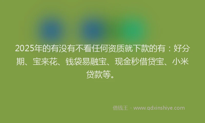 2025年的有没有不看任何资质就下款的有：好分期、宝来花、钱袋易融宝、现金秒借贷宝、小米贷款等。