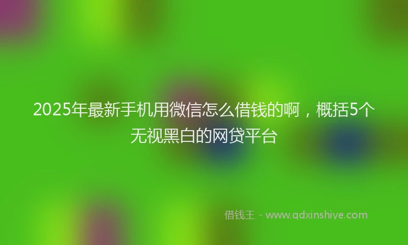 2025年最新手机用微信怎么借钱的啊，概括5个无视黑白的网贷平台