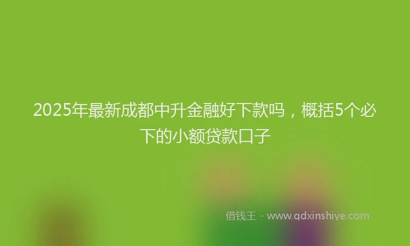 2025年最新成都中升金融好下款吗，概括5个必下的小额贷款口子